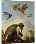 Chained monkey in a landscape by Melchior de Hondecoeter