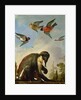 Chained monkey in a landscape by Melchior de Hondecoeter