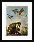 Chained monkey in a landscape by Melchior de Hondecoeter