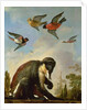 Chained monkey in a landscape by Melchior de Hondecoeter