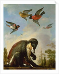 Chained monkey in a landscape by Melchior de Hondecoeter