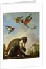 Chained monkey in a landscape by Melchior de Hondecoeter