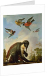 Chained monkey in a landscape by Melchior de Hondecoeter