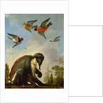 Chained monkey in a landscape by Melchior de Hondecoeter
