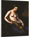 Allegory of Abundance, 1651 by Carel van Savoy