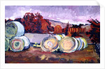 Haybales, Scotland, 1996 by Robert Hobhouse