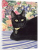 Black Cat by Anne Robinson