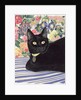 Black Cat by Anne Robinson