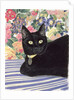 Black Cat by Anne Robinson