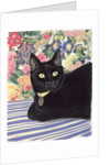 Black Cat by Anne Robinson