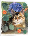 Sootsy with Hydrangea by Anne Robinson