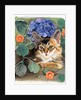 Sootsy with Hydrangea by Anne Robinson