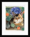Sootsy with Hydrangea by Anne Robinson