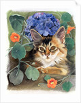 Sootsy with Hydrangea by Anne Robinson