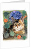 Sootsy with Hydrangea by Anne Robinson