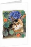 Sootsy with Hydrangea by Anne Robinson