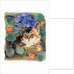 Sootsy with Hydrangea by Anne Robinson