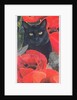 Black Cat with Poppies by Anne Robinson