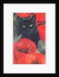 Black Cat with Poppies by Anne Robinson