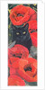Black Cat with Poppies by Anne Robinson