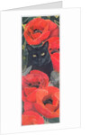 Black Cat with Poppies by Anne Robinson