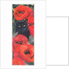 Black Cat with Poppies by Anne Robinson