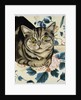 Tabby cat by Anne Robinson