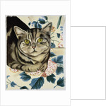 Tabby cat by Anne Robinson