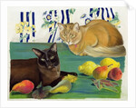 Cats with fruit by Anne Robinson