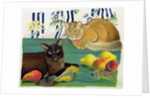 Cats with fruit by Anne Robinson