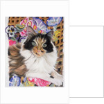 Cleo by Anne Robinson