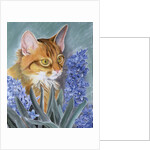 Tosca by Anne Robinson