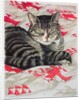 Cat on quilt by Anne Robinson