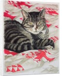 Cat on quilt by Anne Robinson