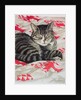 Cat on quilt by Anne Robinson