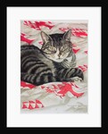 Cat on quilt by Anne Robinson
