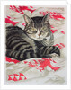 Cat on quilt by Anne Robinson