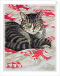 Cat on quilt by Anne Robinson