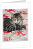 Cat on quilt by Anne Robinson