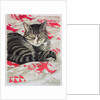 Cat on quilt by Anne Robinson
