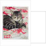 Cat on quilt by Anne Robinson