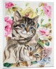 Two kittens by Anne Robinson
