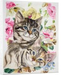 Two kittens by Anne Robinson