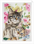 Two kittens by Anne Robinson