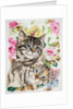 Two kittens by Anne Robinson