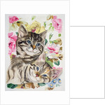 Two kittens by Anne Robinson