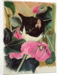 Kitten and hollyhocks by Anne Robinson
