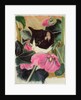 Kitten and hollyhocks by Anne Robinson