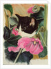 Kitten and hollyhocks by Anne Robinson