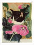 Kitten and hollyhocks by Anne Robinson